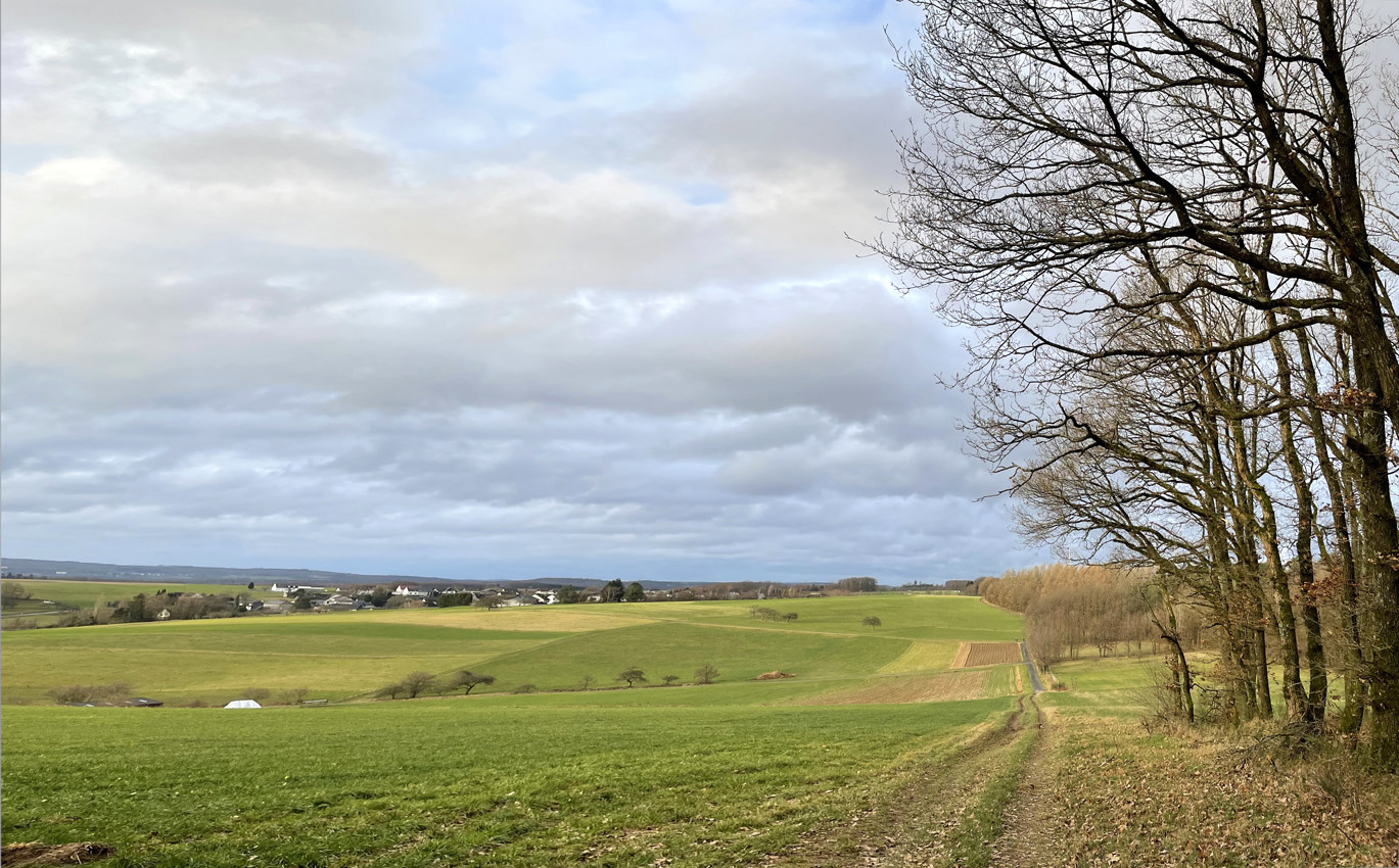 Ferienhaus-Brunken_Haus und Garten