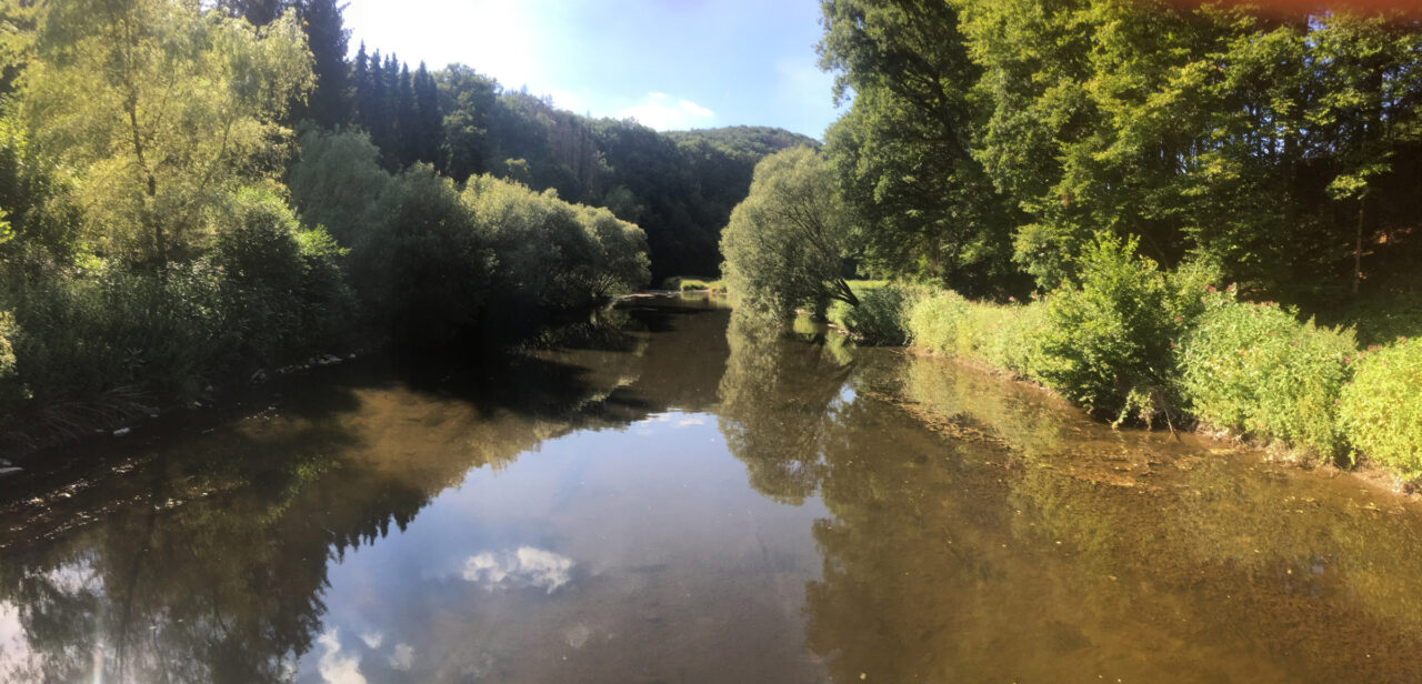 Ferienhaus Brunken Umgebung Nister