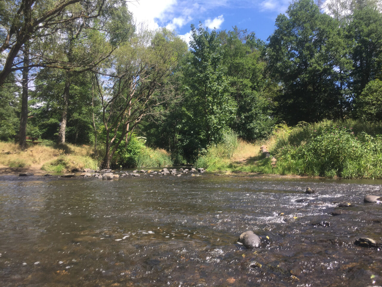 Ferienhaus Brunken Umgebung Nister